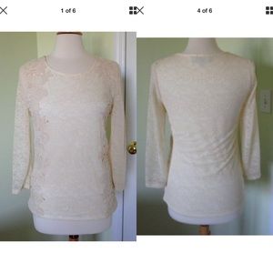 Sunday in Brooklyn Lace 3/4 Sleeve Top Small S